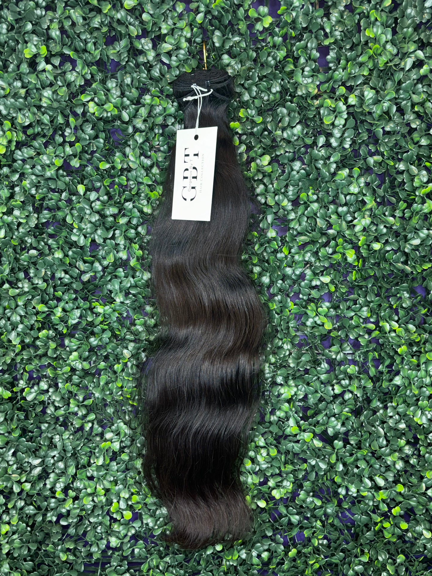 GBT Luxury Indian Raw Collection